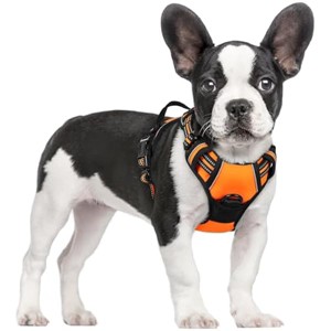 rabbitgoo- Dog Harness No Pull with 2 Leash Clips, Adjustable Soft Padded, Reflective Oxford No Choke Pet Vest for Small Dogs,Orange,S - 1 of 1