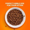 IAMS Proactive Health with Chicken Kitten Premium Dry Cat Food - 3 of 4