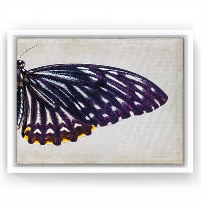Americanflat - 16x20 Floating Canvas White - Butterfly Landscape I By Chaos  & Wonder Design : Target