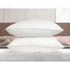 SilvaSleep Traditional Twin Pack Pillow - 2 of 4