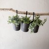 Set of 3 Hanging Planters Black Metal - Foreside Home & Garden - 2 of 4