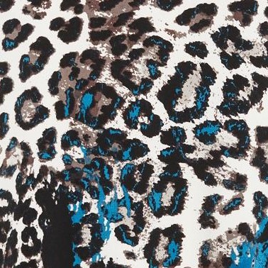 teal animal