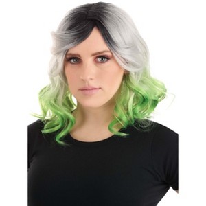 HalloweenCostumes.com  Women Women's Gray and Green Ombre Wig, Green/Gray - 1 of 4