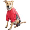 Dog Helios (R) Blizzard Full-Bodied Adjustable and 3M Reflective Dog Jacket - 2 of 4