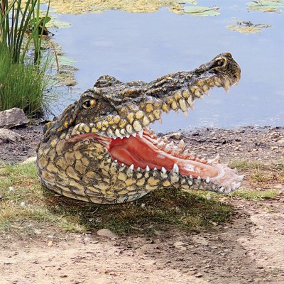 Design Toscano Chomper's Gonna Get You Crocodile Statue : Target