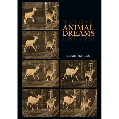 Animal Dreams - by  David Brooks (Paperback)