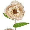 Northlight 40" Ivory/Green Floral Artificial Craft Spring Spray - 4 of 4