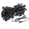 Novelty Lights Globe Outdoor String Lights with 100 suspended Sockets Suspended Black Wire 100 Feet - 4 of 4
