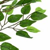 vidaXL Tall Artificial Ficus Plant in Pot - Green, PEVA, Mixed hardwood - 2 of 4