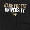 Men's Wake Forest University Stacked Crewneck Sweatshirt - 2 of 4