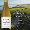 Chateau Ste. Michelle Pinot Gris White Wine - 750ml Bottle - 3 of 4