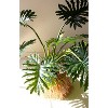 Botanica Split Leaf Philodendron 47"H in Black Plastic Pot, Tropical Faux Plant by Kalalou - 3 of 4