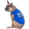 Parisian Pet 'Little Brother' Dog Shirt - Dog Sibling Shirt for Dogs & Cats, Blue - 3 of 4