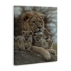 Stupell Industries King Lion Baby Cubs Wild Safari Animal Family Canvas Wall Art - 3 of 4