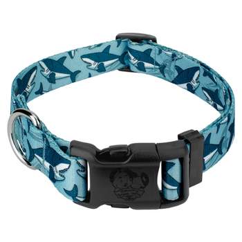 Country Brook Petz Deluxe Sharks Dog Collar - Made in the U.S.A.