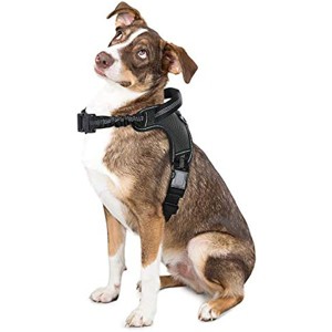 rabbitgoo Dog Harness, Adjustable Handle and Shock-Absorbing Bungee Straps, Halter Harness with Padded Strap for Extra Large Dogs (Black,XL) - 1 of 1