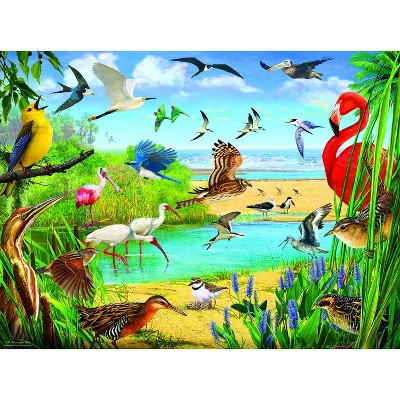 Sunsout Florida Birds Puzzle 1000 pièces 70028 : Cible