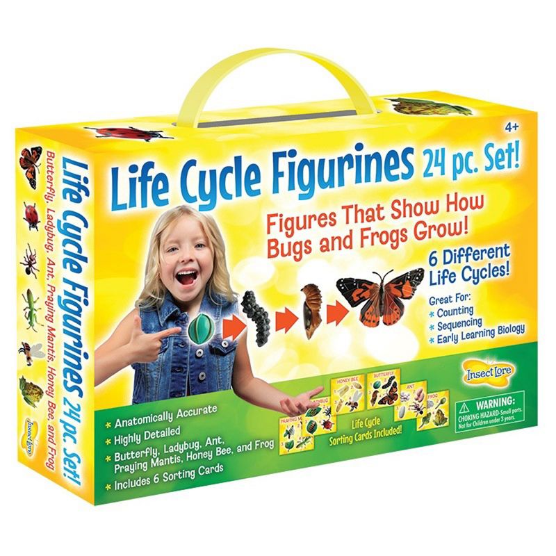Insect Lore Products Life Cycle Figurines - 24 Pieces, 2 of 7