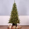 National Tree Company Pacific Mixed Pine 7.5-ft. Pre-Lit Artificial Christmas Tree - 3 of 3