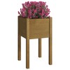 vidaXL Solid Wood Pinewood Garden Planter – Honey Brown, 15.7"x15.7"x27.6", Square, Outdoor Use, Weather-Resistant, Planter Box for Flowers and Plants - 3 of 4