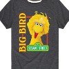 Boys' - Sesame Street - Big Bird Photo Short Sleeve Graphic T-Shirt - 2 of 4