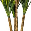 Vickerman 40" Artificial Potted Green Yucca - 4 of 4