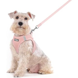 rabbitgoo Dog Harness Small Sized and Leash Set, Breathable Mesh Pet Harness, Reflective for Outdoor Safe Walking, Pink XXL - 1 of 1