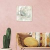 iCanvas Winter Blooms I by Carol Robinson Canvas Print Wall Art - 3 of 3