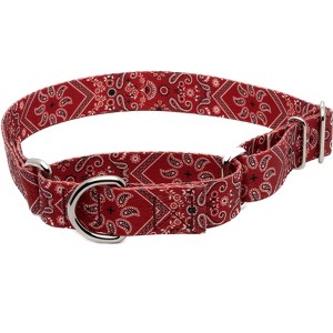 Country Brook Petz Martingale Dog Collar Country and Western Collection - 1 of 4