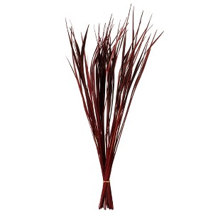 Vickerman 28"-36" Splinter Grass Bundle, 22oz Dried - 1 of 4
