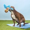 BARK Spring Picnic in the Bark Robbin' Robin Dog Animal Plush Toy - 3 of 4