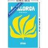 Trends International Reinders: Destinations - Destination Mallorca Unframed Wall Poster Print White Mounts Bundle 14.725" x 22.375" - 3 of 4