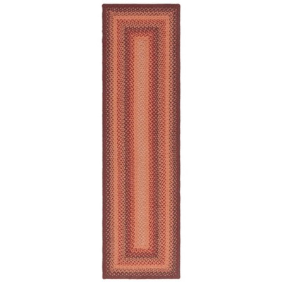 Braided BRD651 Flat Weave Rug - Safavieh