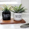 Esterno Needy and Thirsty Planter Pots, 2pc Set; Ceramic Funny Indoor Container Gardening Pots - 2 of 4
