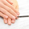 Unique Bargains Petal Nail Painting Brushes for Polish Painting Home DIY Nail Design Clear Brown 1 Pc - 2 of 4