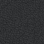 west virginia mountaineers