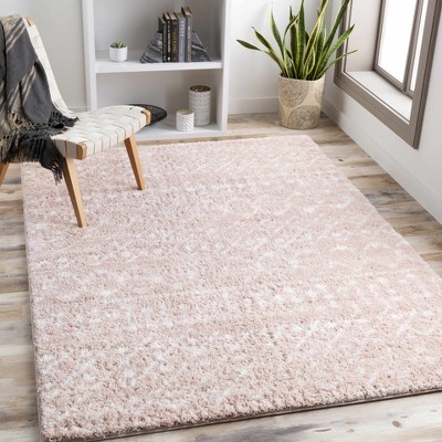 Hauteloom Blush Plush Area Rug