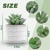 BRINJOY 4-Pack Artificial Succulent Plants - Mini Faux Succulents in Ceramic Pots for Home Office Decor - 2 of 4