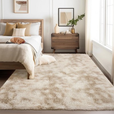 Shag Area Rug Ultra Soft Shaggy Rug Fluffy Shag Rugs for Living Room