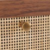 Silvanna Nightstand - NST9601A - Walnut/Natural - Safavieh - 4 of 4