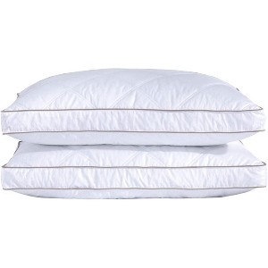 Aghana Digitals Gusseted Feathers and Down Pillows Set of 2, King Size - 1 of 4