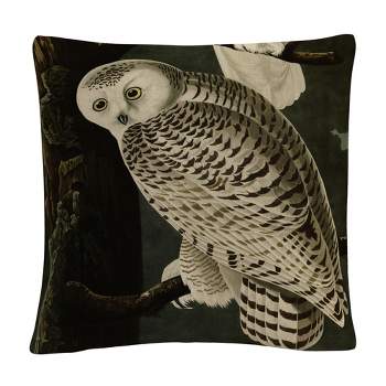 Trademark Fine Art - John James Audubon 'Snowy Owl' 16 X 16 Decorative Throw Pillow