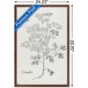 Trends International Jean Plout - Botanical Studies on Paper Coriander Framed Wall Poster Prints - 3 of 4