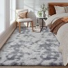 Fluffy Area Rug- Shag Area Rug for Living Room, Shaggy Large Indoor Thick Living Room Carpet with Non-Slip Backing, Soft Plush Carpet - 3 of 4
