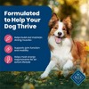 Blue Buffalo Salmon Flavor Dry Dog Food - 15lbs - 4 of 4