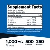 Nutricost BCAA (1000mg) 500 Capsules - 2:1:1 Branched Chain Amino Acids, 500mg L-Leucine, 250mg L-Isoleucine and L-Valine, 250 Servings - 2 of 4