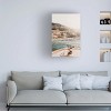 Canvas Wall Art - Krista Broadway 'Marmorata' Wall Art for Living Room, Bedroom, or Office Décor by Trademark Fine Art - 22 x 32 Inches - 3 of 4
