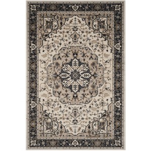 Lyndhurst LNH334 Power Loomed Rugs - Safavieh - 1 of 4