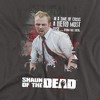Shaun Of The Dead Hero Must Rise Adult T-Shirt - 2 of 4