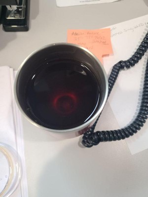 Guest review image 2 of 2, zoom in